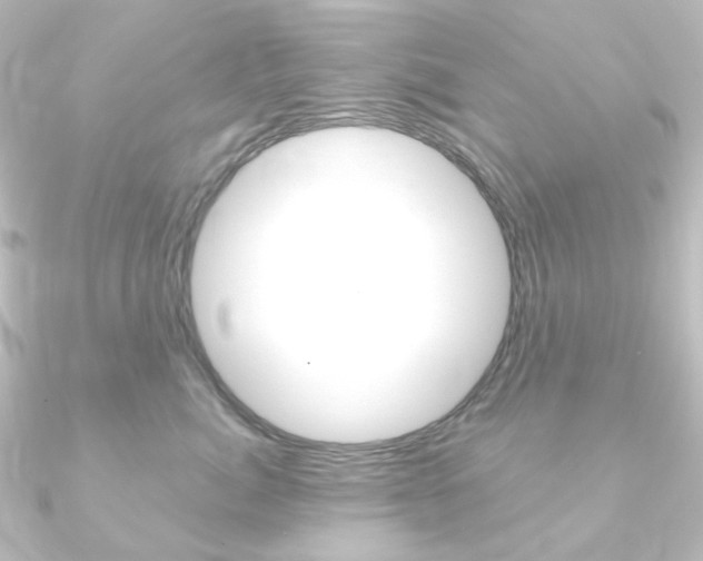 X0000090950764200708021101