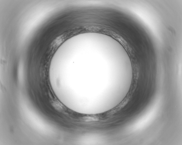 X0000090950765200708021101