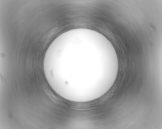 X0000090950766200708021101