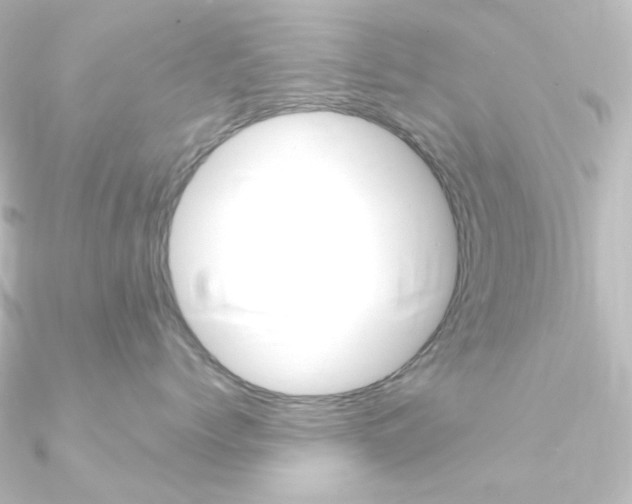 X0000090950768200708021101
