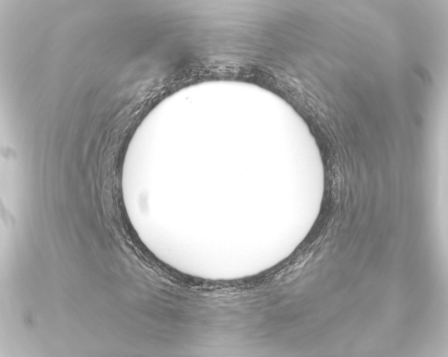 X0000090950769200708021100