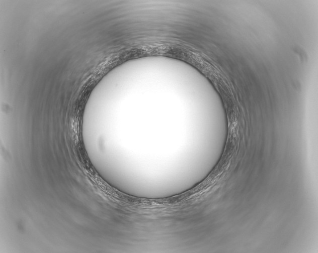 X0000090950772200708021100