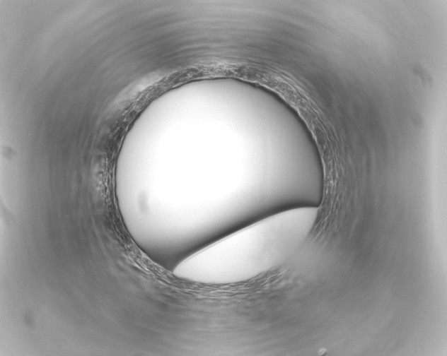 X0000090950773200708021100