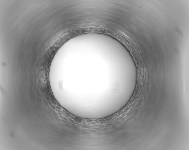 X0000090950774200708021100