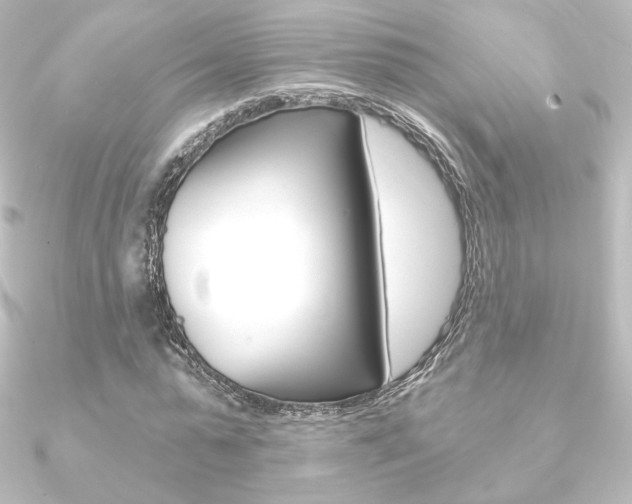 X0000090950775200708021100
