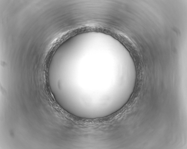 X0000090950776200708021100