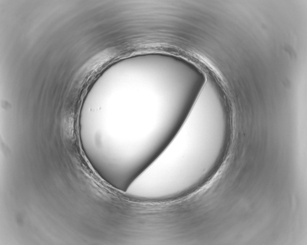 X0000090950777200708021100