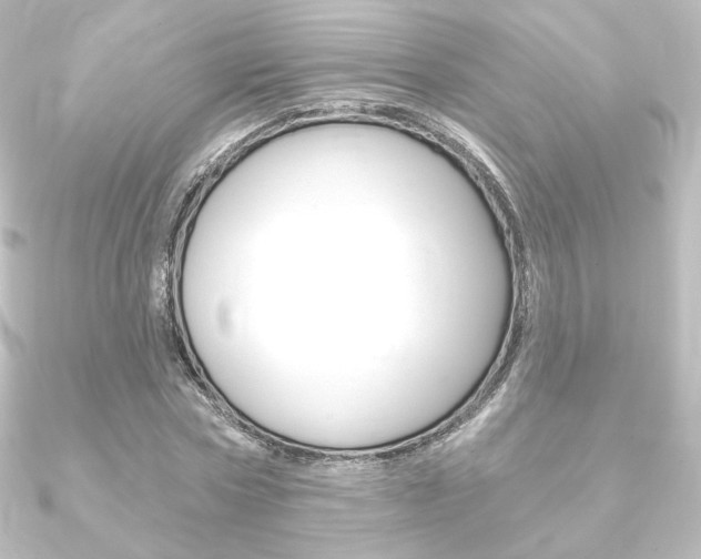 X0000090950778200708021100