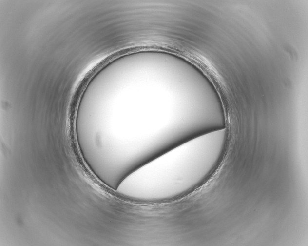 X0000090950780200708021100