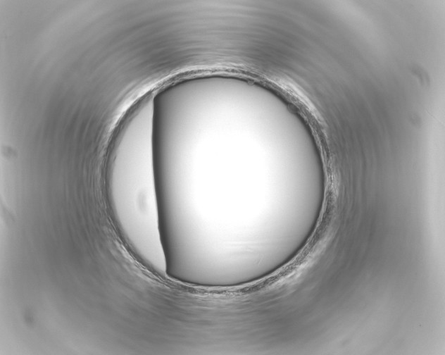 X0000090950781200708021100