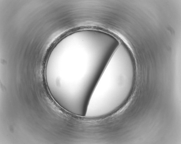X0000090950783200708021100