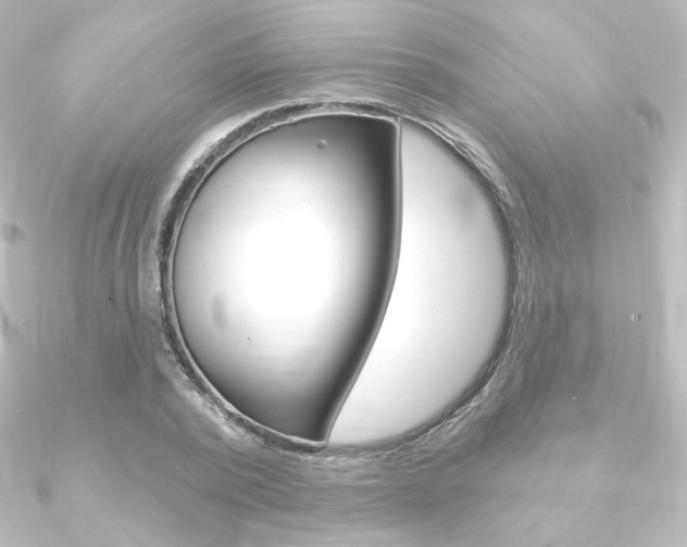 X0000090950784200708021100