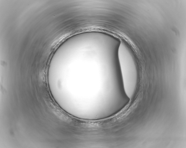 X0000090950785200708021100