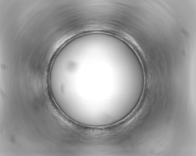 X0000090950786200708021100