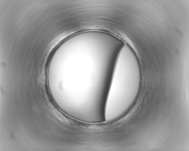 X0000090950787200708021100
