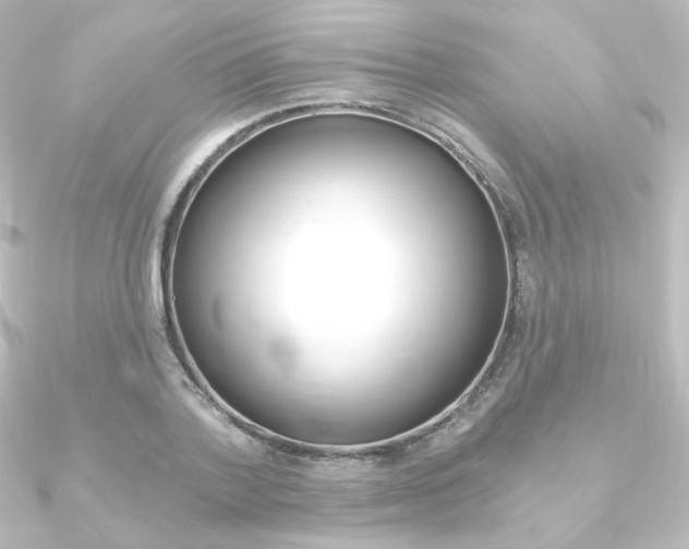 X0000090950788200708021100