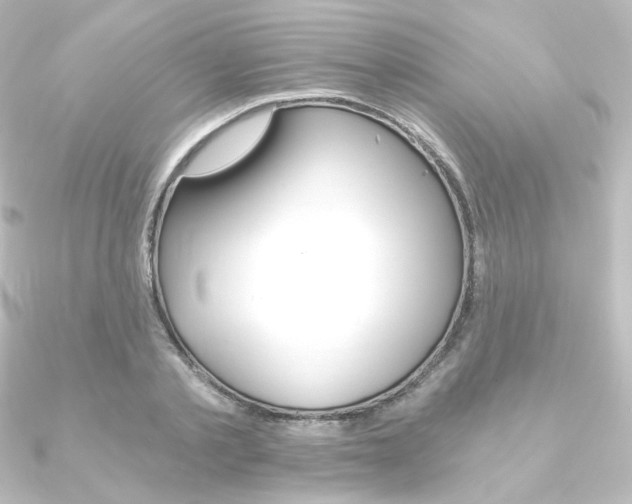 X0000090950789200708021100