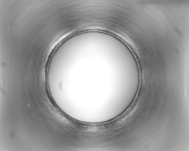 X0000090950790200708021100