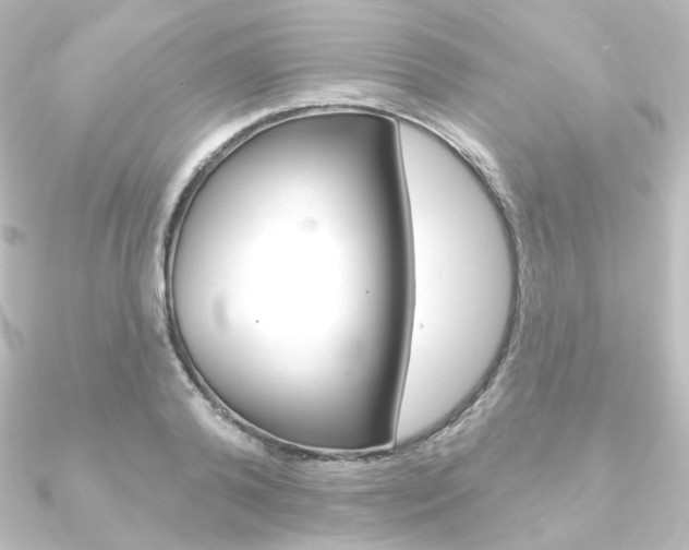 X0000090950792200708021100
