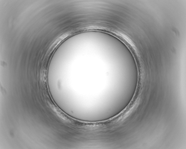 X0000090950793200708021100