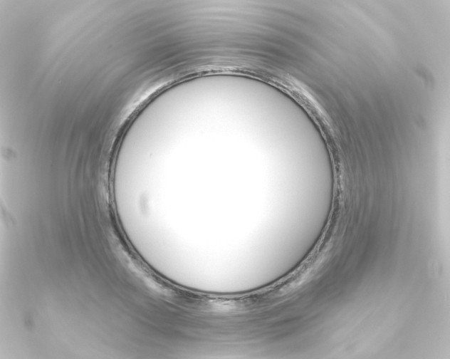X0000090950794200708021100