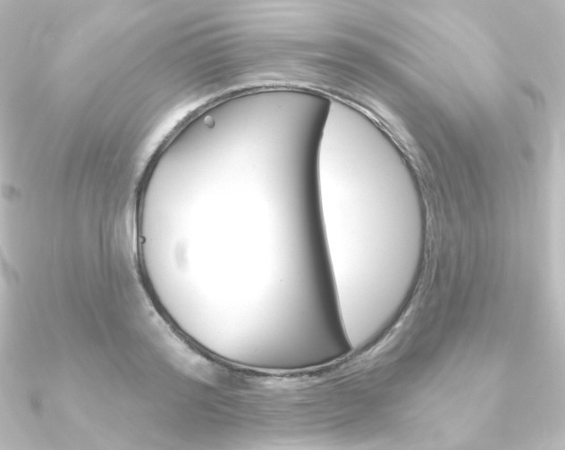 X0000090950796200708021100