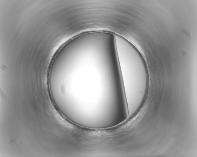 X0000090950797200708021100