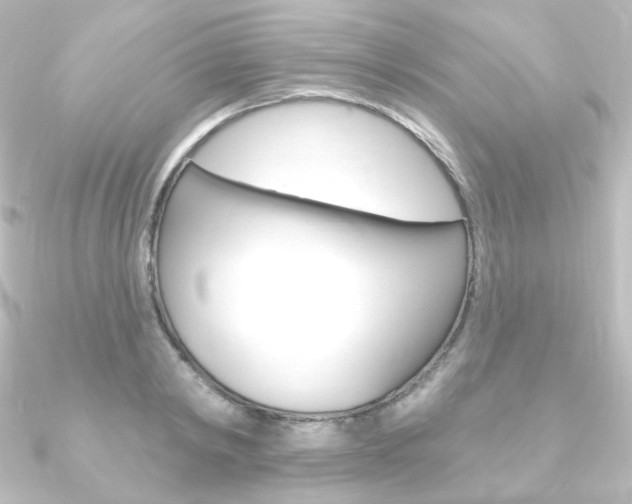 X0000090950798200708021100
