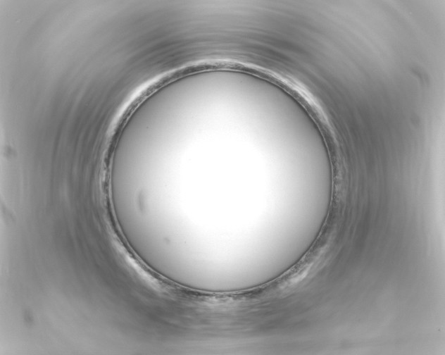 X0000090950799200708021100