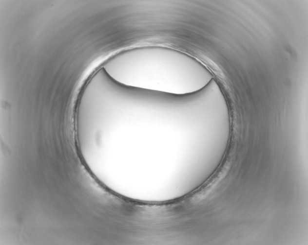 X0000090950800200708021100