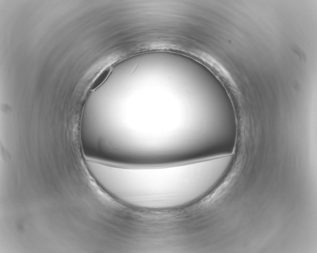 X0000090950801200708021100