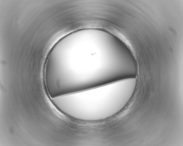 X0000090950803200708021100