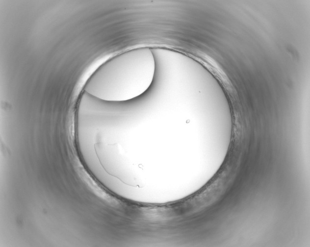 X0000090950804200708021100