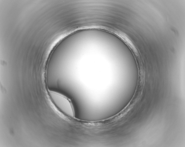X0000090950805200708021100