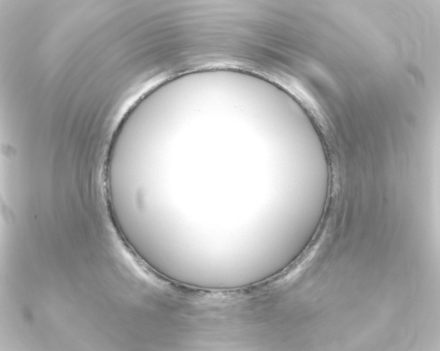 X0000090950806200708021100