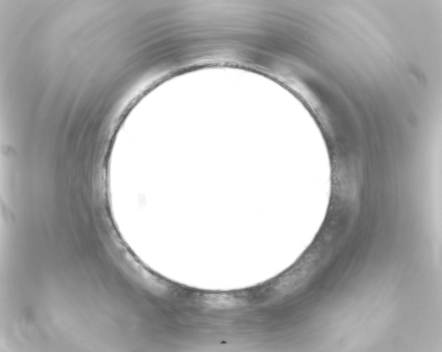 X0000090950807200708021100