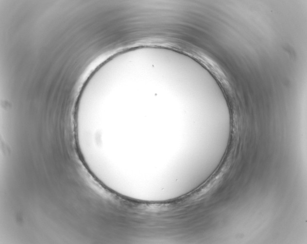 X0000090950808200708021100