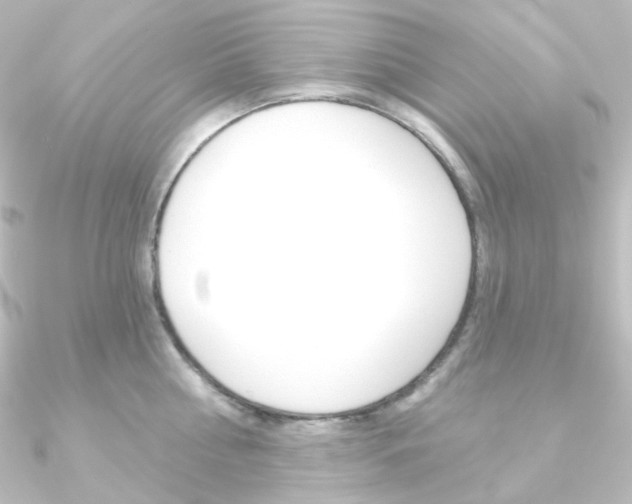 X0000090950810200708021100