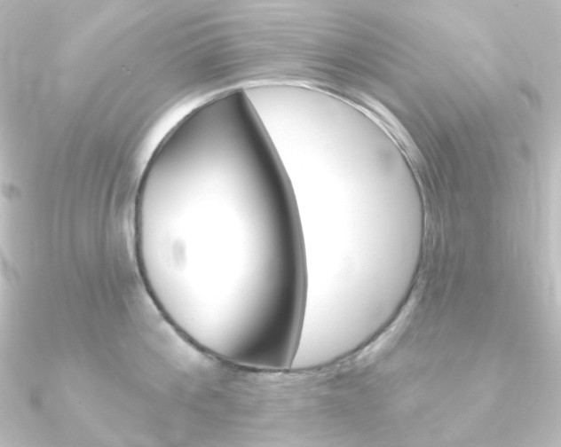 X0000090950812200708021100