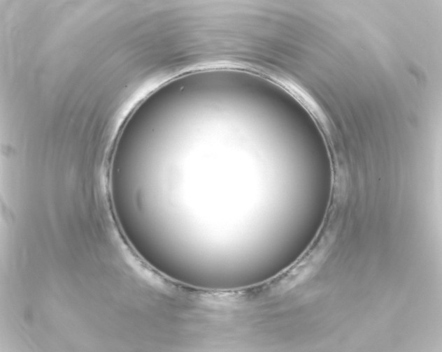 X0000090950813200708021100
