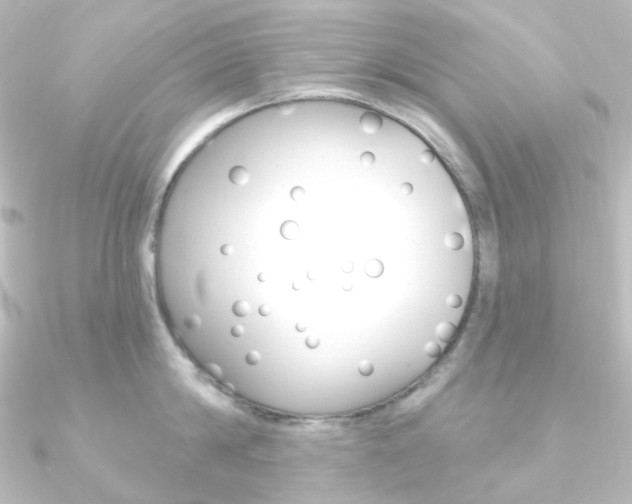 X0000090950814200708021100