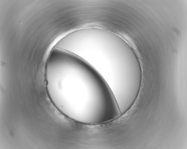 X0000090950816200708021100