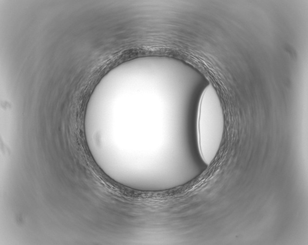 X0000090950817200708021059