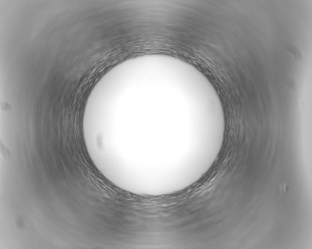 X0000090950818200708021059