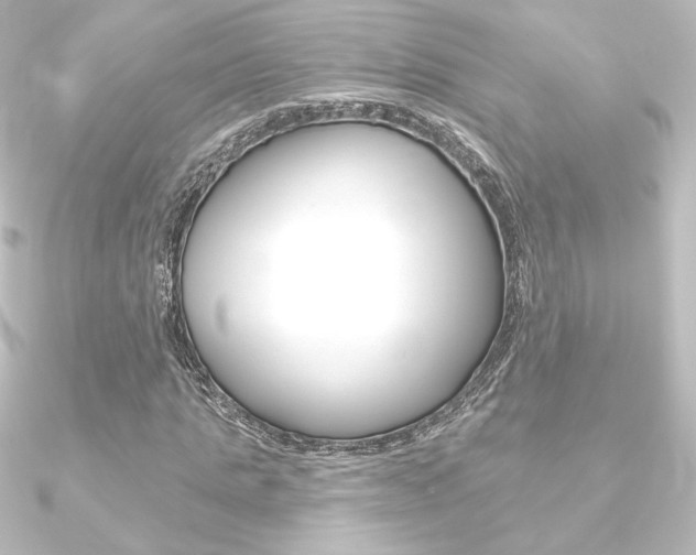 X0000090950821200708021059