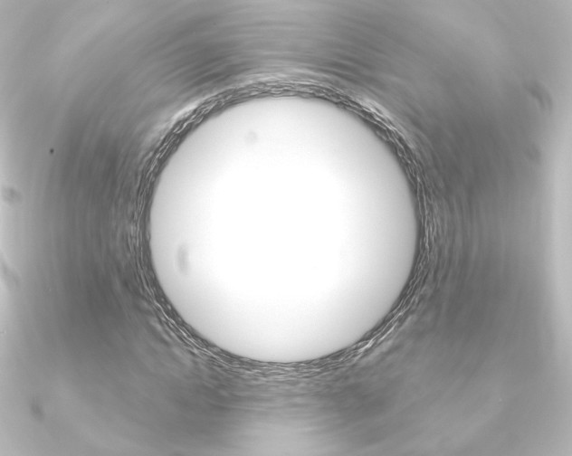 X0000090950822200708021059