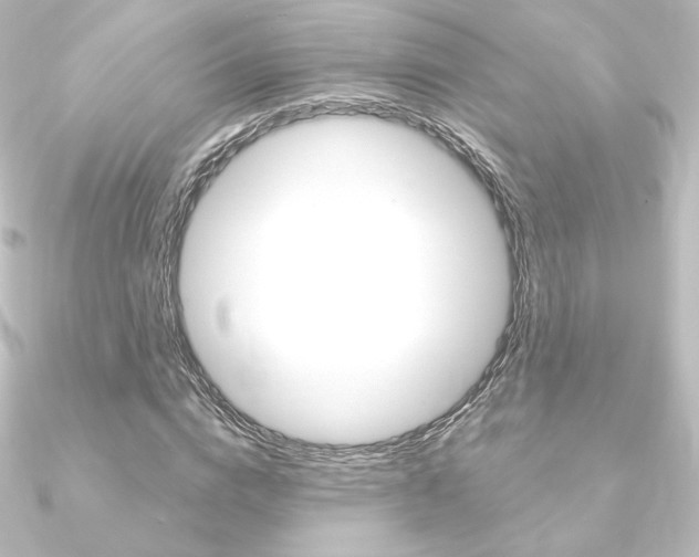 X0000090950824200708021059