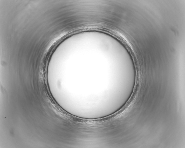 X0000090950827200708021059