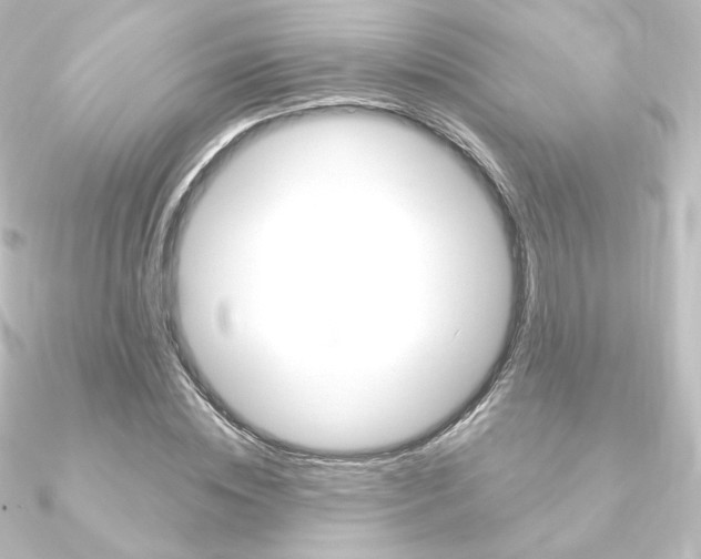X0000090950828200708021059