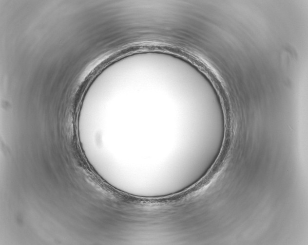 X0000090950829200708021059